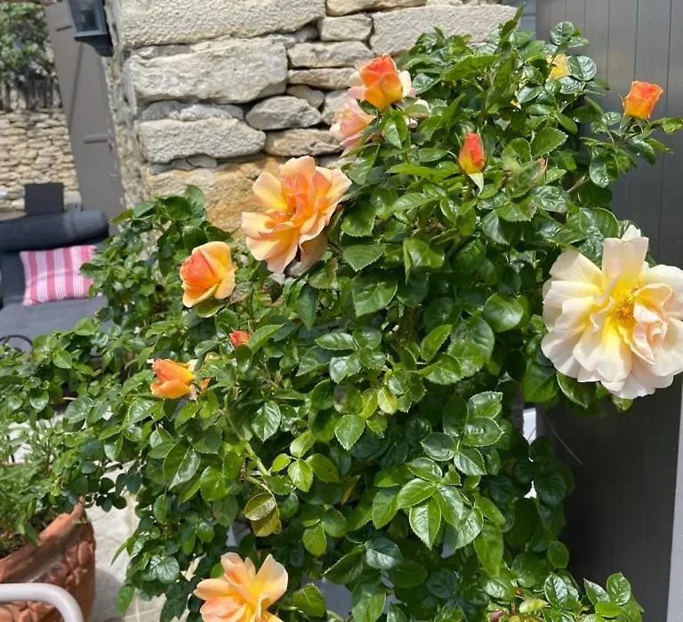 La Borie en Provence-1